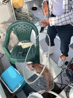 つばめ交通株式会社