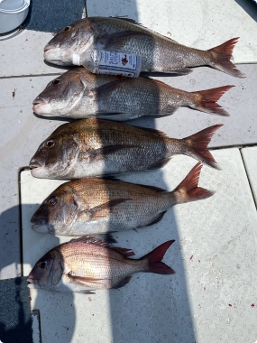 つばめ交通株式会社