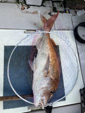 つばめ交通株式会社