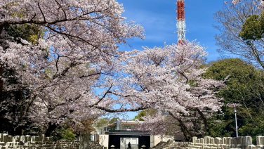 つばめ交通株式会社